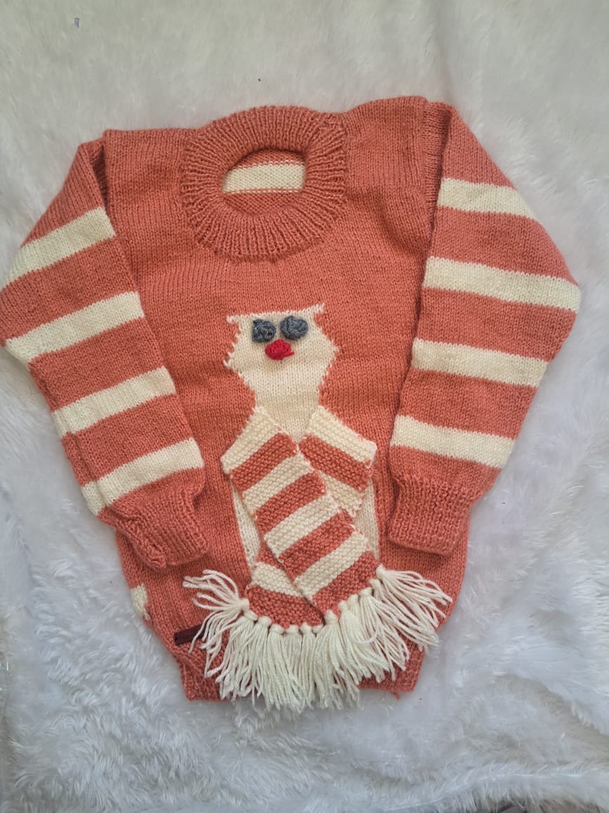 Sweater – Kids Size 5 Years